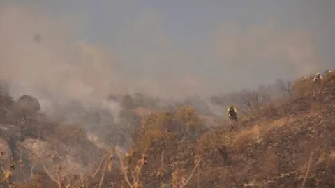 Oaxaca es el estado más afectado por incendios