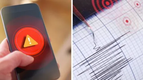 Video muestra cómo activaron hoy manualmente la alerta sísmica para simulacro