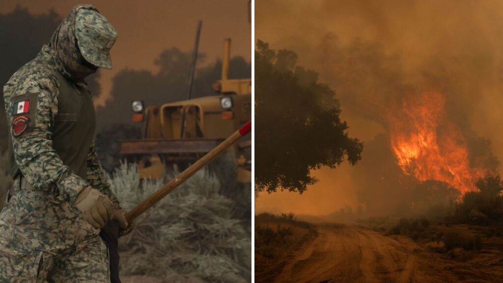 CONAFOR realiza quemas prescritas para prevenir incendios. Foto: Cuartoscuro