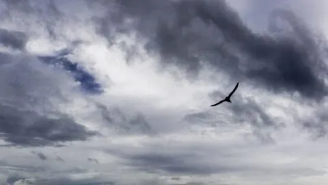 Clima en Tabasco para el 17 de febrero: nublado, sin lluvia y hasta 31 grados