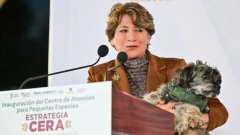 Edomex lanza Estrategia CERA para erradicar violencia y abandono de animales