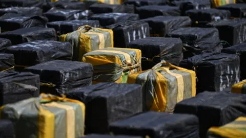 Incautan 17 toneladas de cocaína en México, Polinesia Francesa y El Salvador en operación internacional