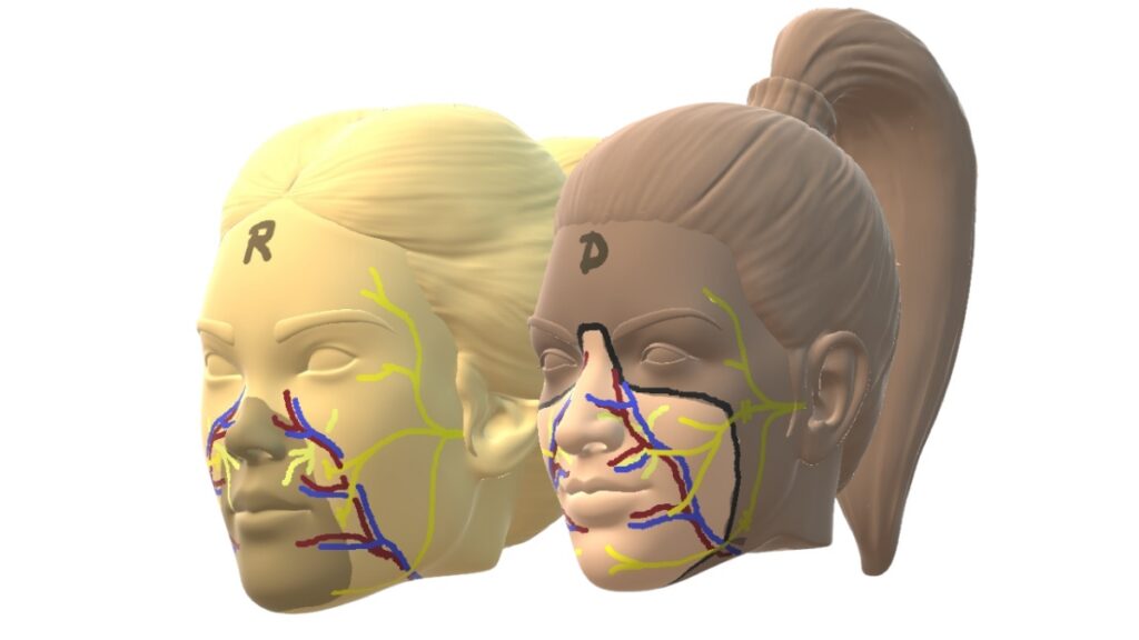 Realizan primer trasplante parcial de cara con donante tras eutanasia en el mundo