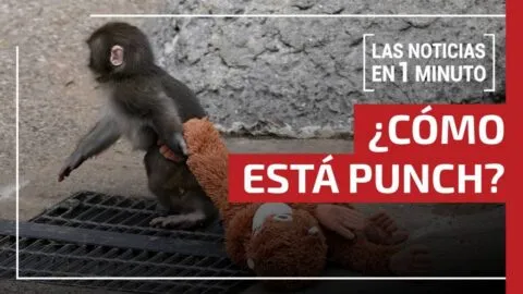Noticias de hoy 20 de febrero 2026, hasta las 13:00 horas, en un minuto