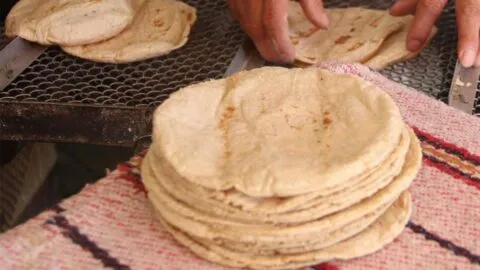 Kilo de tortilla sube hasta $27 por inseguridad y extorsión: Consejo Nacional de la Tortilla