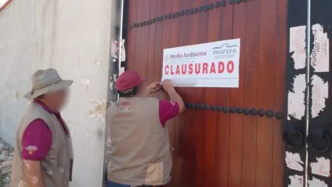 Tras operativo, Profepa clausura predios en la Reserva Cuxtal, tenían construcciones irregulares