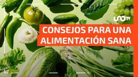 Alimentación verde: 5 beneficios clave para tu salud y cómo incorporarla a tu dieta diaria