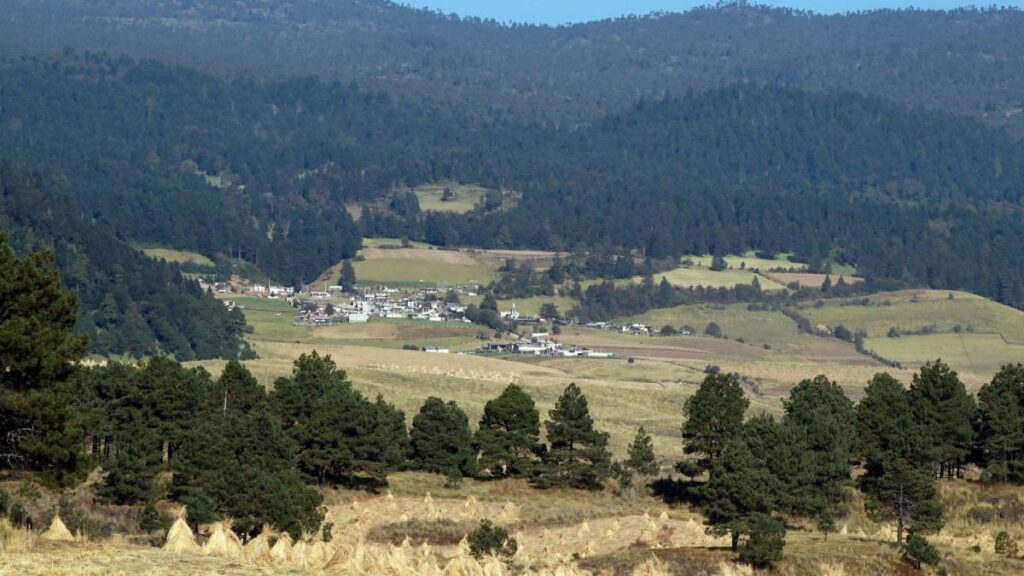 En el turismo rural se pueden hacer varias actividades.