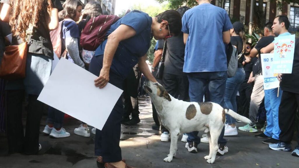 Veterinarios encabezan protestas en CDMX para este miércoles 18 de febrero