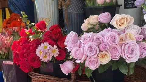 Flores suben hasta 18% este 2026: cuáles son las favoritas y las que conviene evitar este 14 de febrero