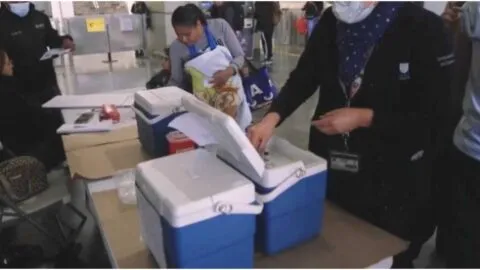 Rodeado de estados con sarampión, Tamaulipas se mantiene libre de la enfermedad