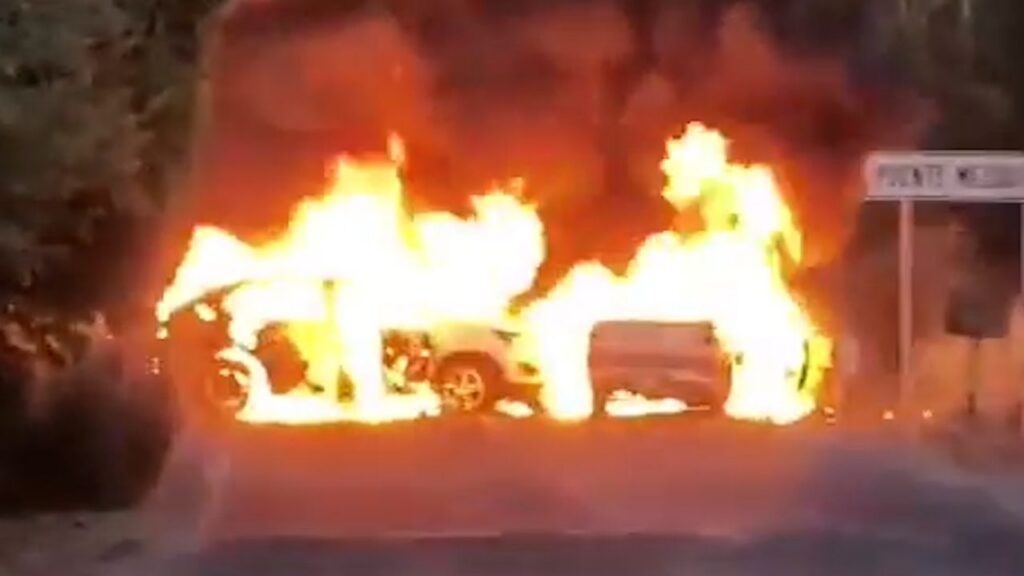 Foto: Omar Hernández