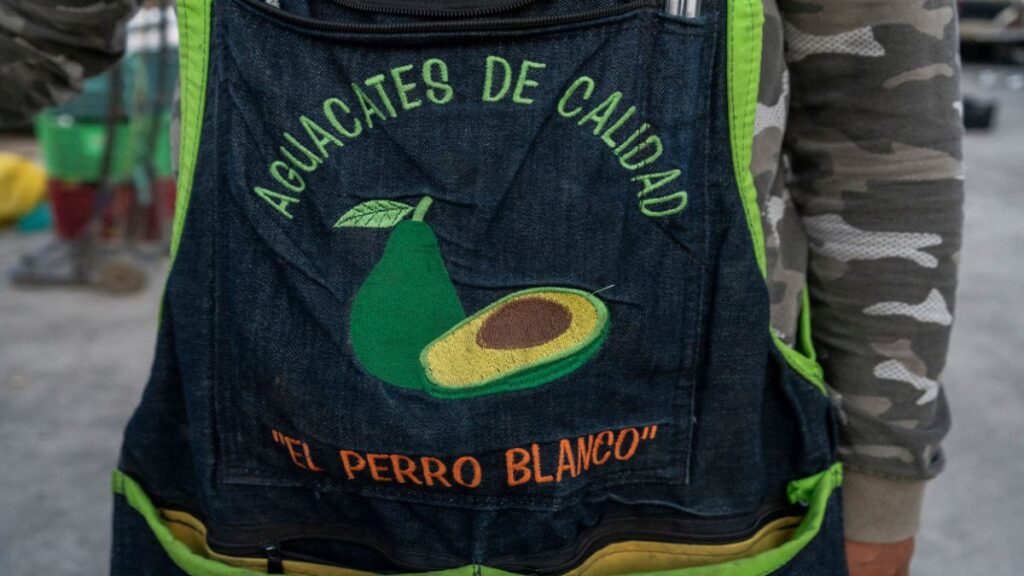 Actor de televnovelas Deja La Fama Por Vender Aguacates