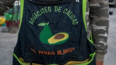 Actor de telenovelas cambia la fama por el campo: ahora es aguacatero