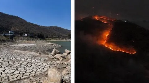 Sequía se mantiene en casi 7% de México; suben incendios forestales: SMN