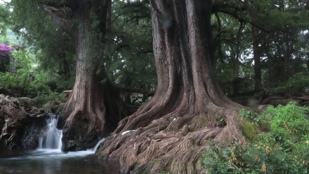 Pueblos mágicos ofrecen descanso, naturaleza y aventura.