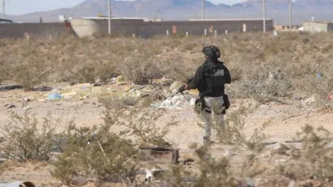 Homicidios bajaron 38% en México durante febrero de 2026