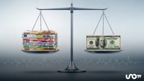 Banco de México publica la equivalencia de monedas frente al dólar en febrero de 2026