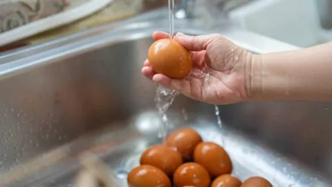 ¿Lavas los huevos antes de guardarlos? Experta advierte que podrías contaminar los alimentos