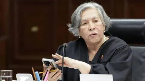 Ministra afirma que nacidos por fecundación in vitro “no forman parte de la familia”