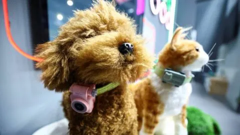 PetPhone, el celular que te permite hablar con tu mascota donde quiera que se encuentre