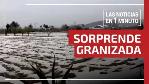 Noticias de hoy 6 de marzo de 2026, en un minuto, hasta las 19:00 horas