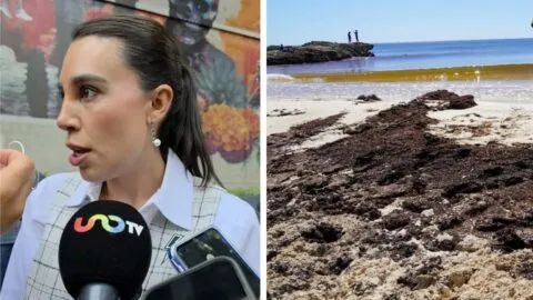 Sargazo llega antes a Quintana Roo; activan acciones para controlarlo rumbo a Semana Santa