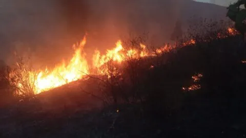 Se registra fuerte incendio en la Sierra de Guadalupe, en Tlalnepantla; consume varias hectáreas del parque estatal