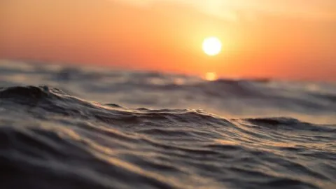 Científicos advierten sobre un "súper El Niño" en 2026, el fenómeno podría provocar calor extremo