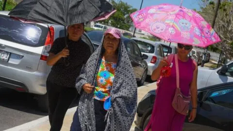 Pronóstico para Tabasco, Zacatecas: martes soleado y sin precipitaciones
