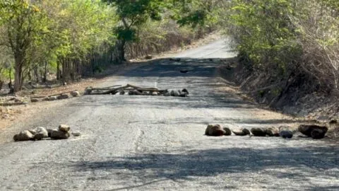 Tras ataque del crimen organizado, el municipio de Nicolás Ruiz, en Chiapas, se blinda con retenes