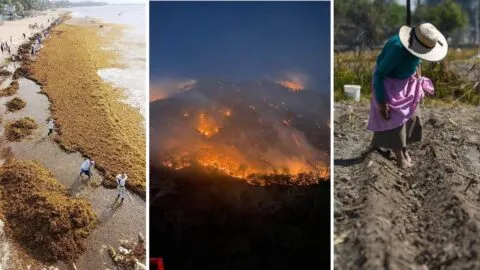 Cambio climático, posible crisis de salud pública en México: mortalidad subiría hasta 15%, alerta estudio de Ibero