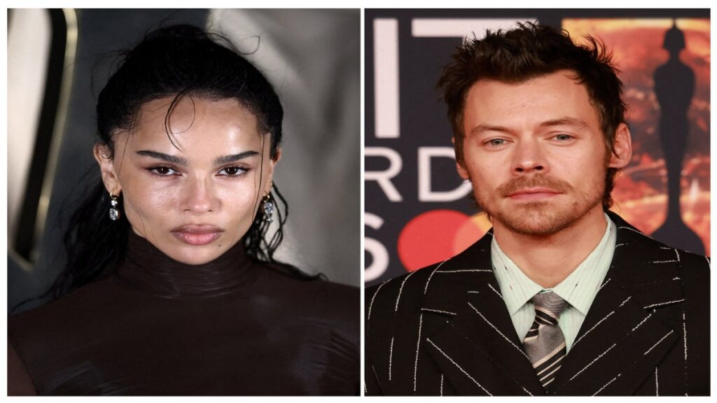 Harry Styles Zoe Kravitz Se Casan