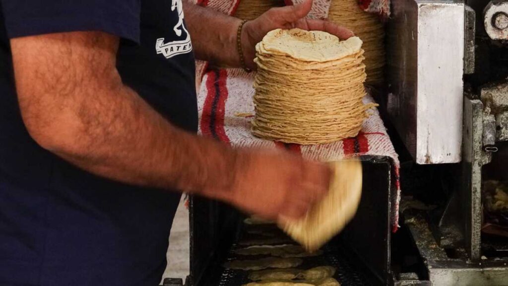 Kilo de tortillas tiene descuento con Inapam