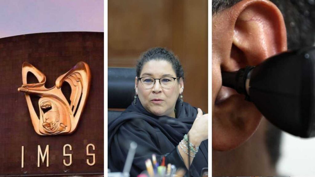 Lenia Batres votó en contra de acción que obliga a IMSS a cubrir necesidades de menores con discapacidad.