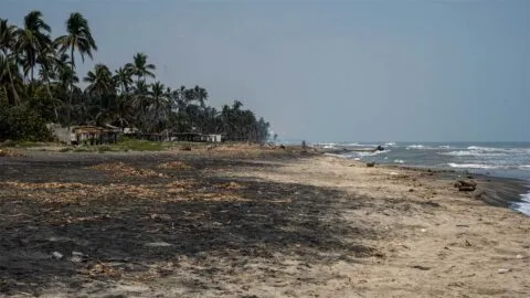 “No están limpias”: organizaciones alertan por presencia de hidrocarburo en 81 playas de México