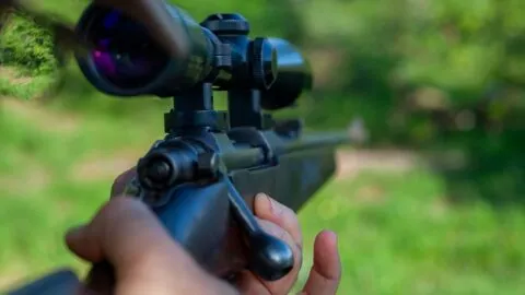 ¿Quién era Ernie Dosio, cazador millonario que murió aplastado por elefantes en África?