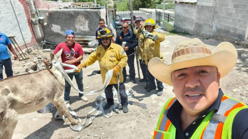 Rescatan a burrito que cayó a fosa sanitaria.