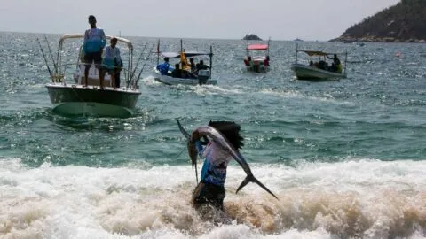¿Qué hacer en Acapulco si vas al Mundial de FootGolf? Descubre playas y lugares imperdibles del puerto
