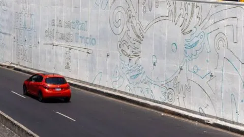 Se borran los ajolotes pintados en calles y cruces peatonales de CDMX