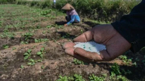 Alertan posible hambruna por falta de fertilizantes tras bloqueo en estrecho de Ormuz