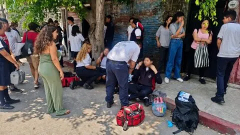 Enjambre de abejas ataca a más de 100 personas en escuela de Cuautla, Morelos