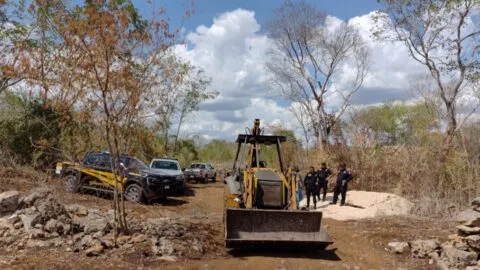 Autoridades clausuran desmonte ilegal en la Reserva Cuxtal en Mérida