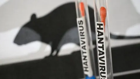 Barco con presuntos contagios de hantavirus lleva a 149 personas; sigue en cuarentena