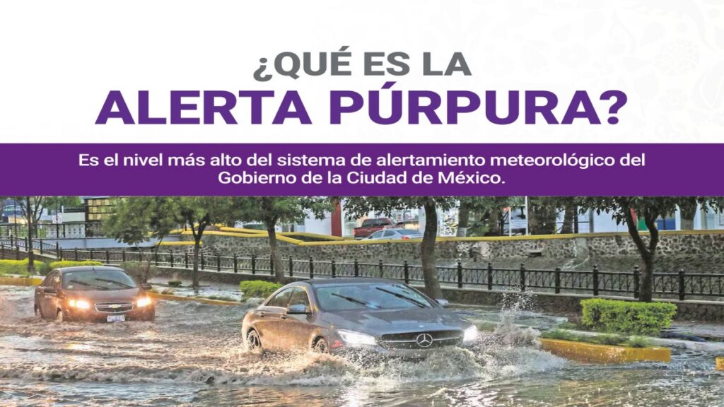 alerta púrpura