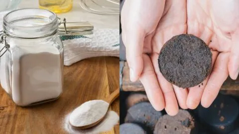 Café usado y bicarbonato de sodio: por qué recomiendan mezclarlos y para qué sirve