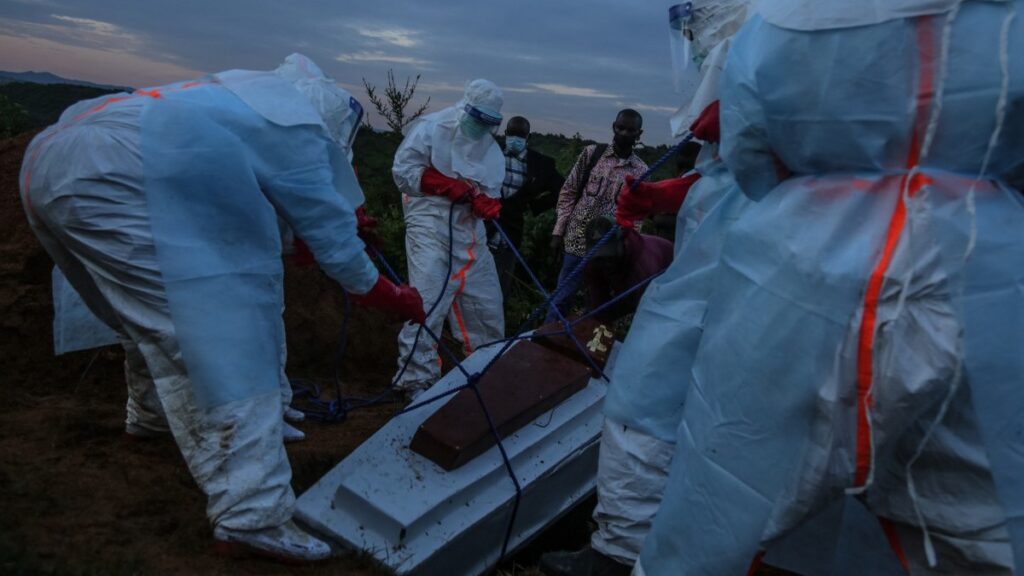 OMS confirma 82 casos y 7 muertes por ébola en Congo