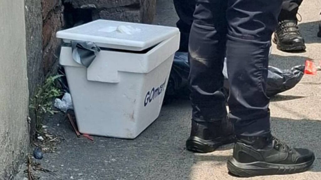 Autoridades acordonaron la zona tras localizar una cabeza.