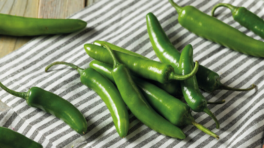 Así se ven generalmente los chiles serranos