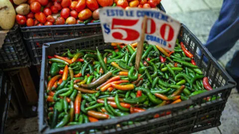 ¿Cuál es la diferencia entre el chile serrano y el jalapeño?